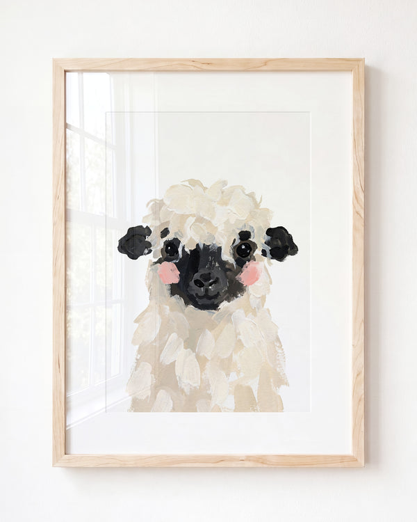Little Painted Sheep-Blacknose