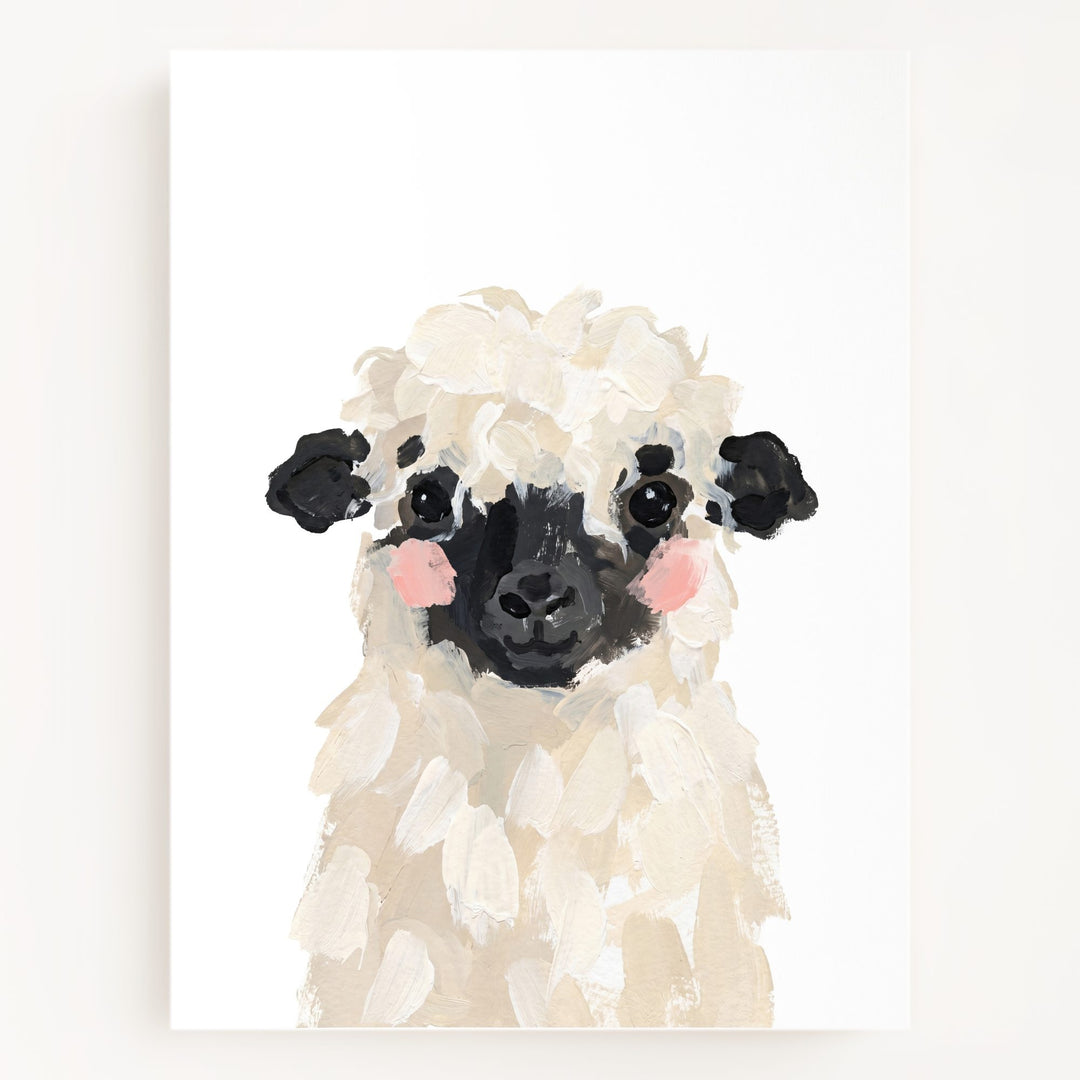 Little Painted Sheep-Blacknose