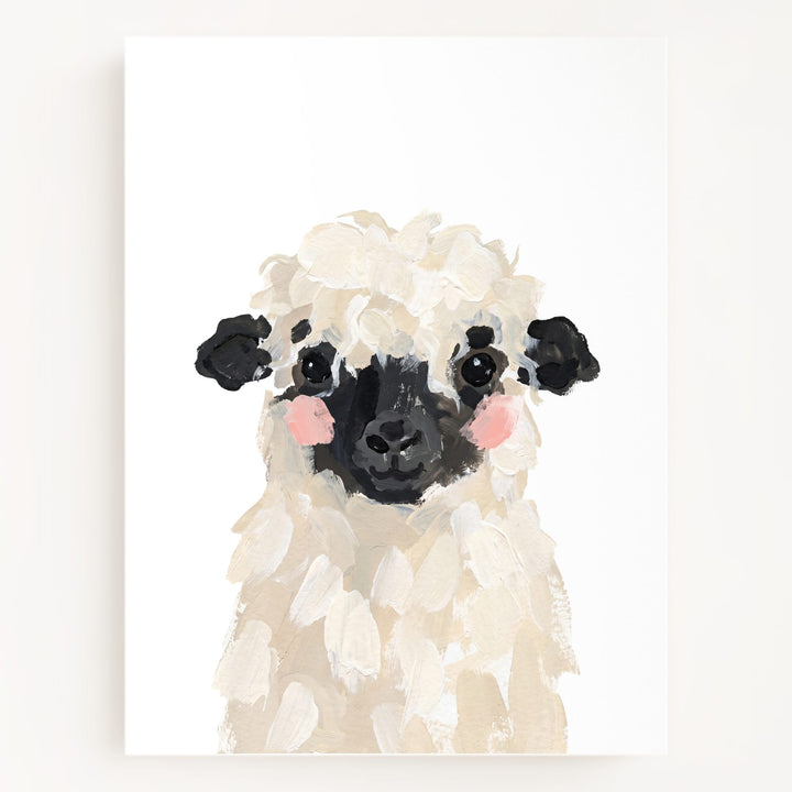 Little Painted Sheep-Blacknose