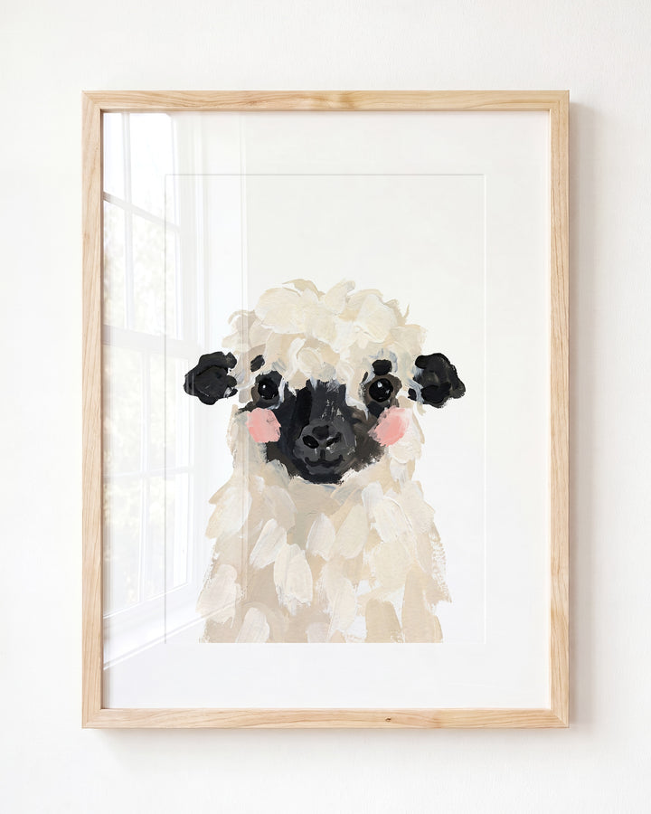 Little Painted Sheep-Blacknose