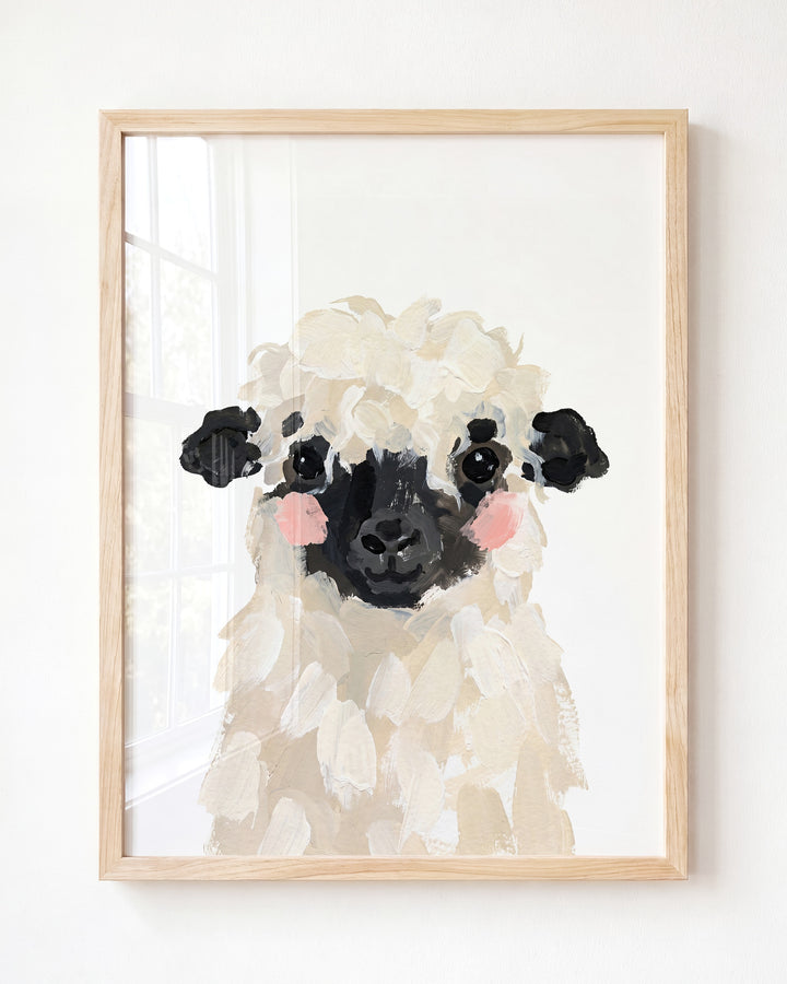 Little Painted Sheep-Blacknose
