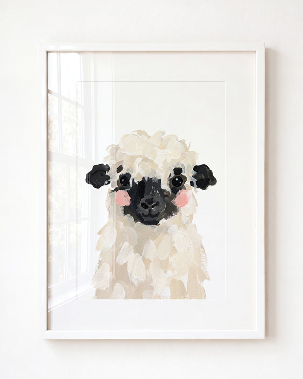 Little Painted Sheep-Blacknose