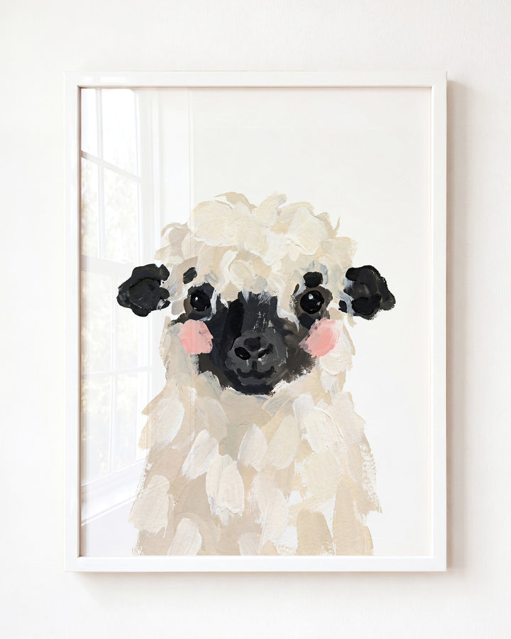 Little Painted Sheep-Blacknose
