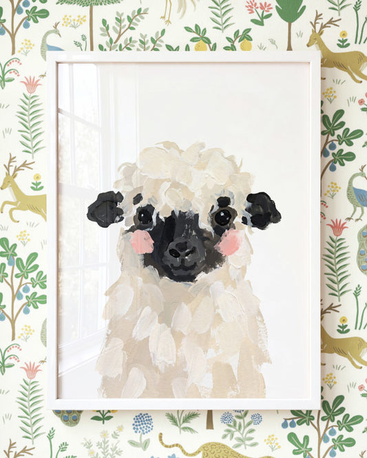 Little Painted Sheep-Blacknose