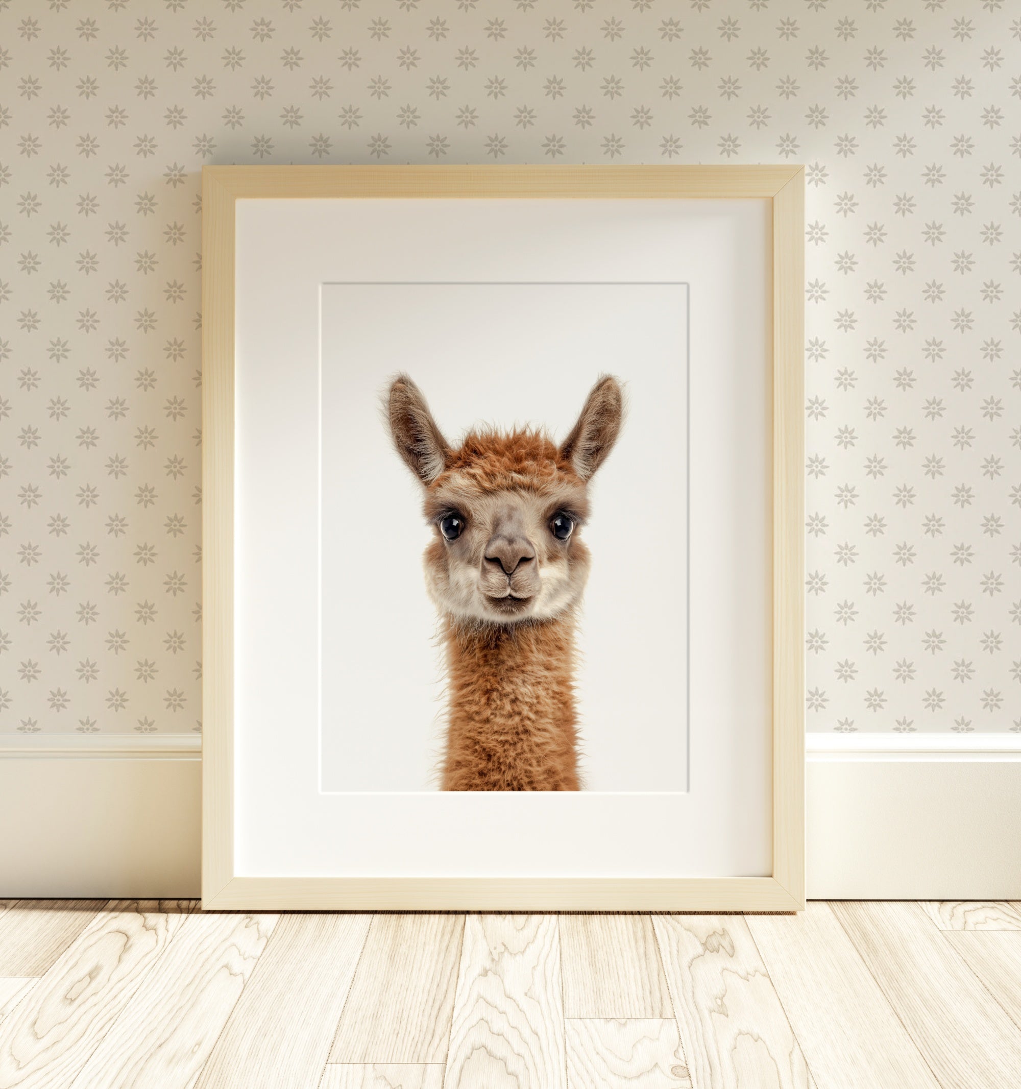 The Baby Animals 2026 Collection - Classic