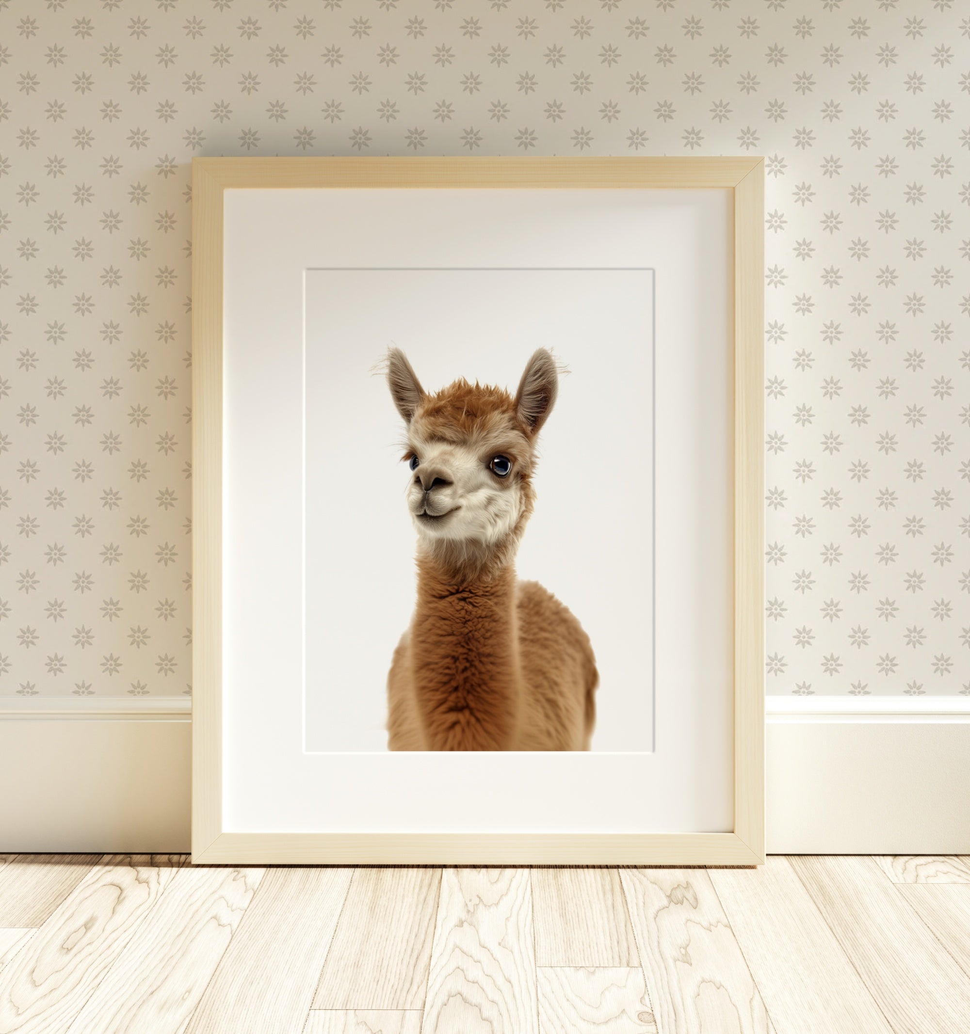 The Baby Animals 2026 Collection - Classic