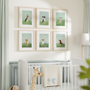 Complete Set of 6 Prints