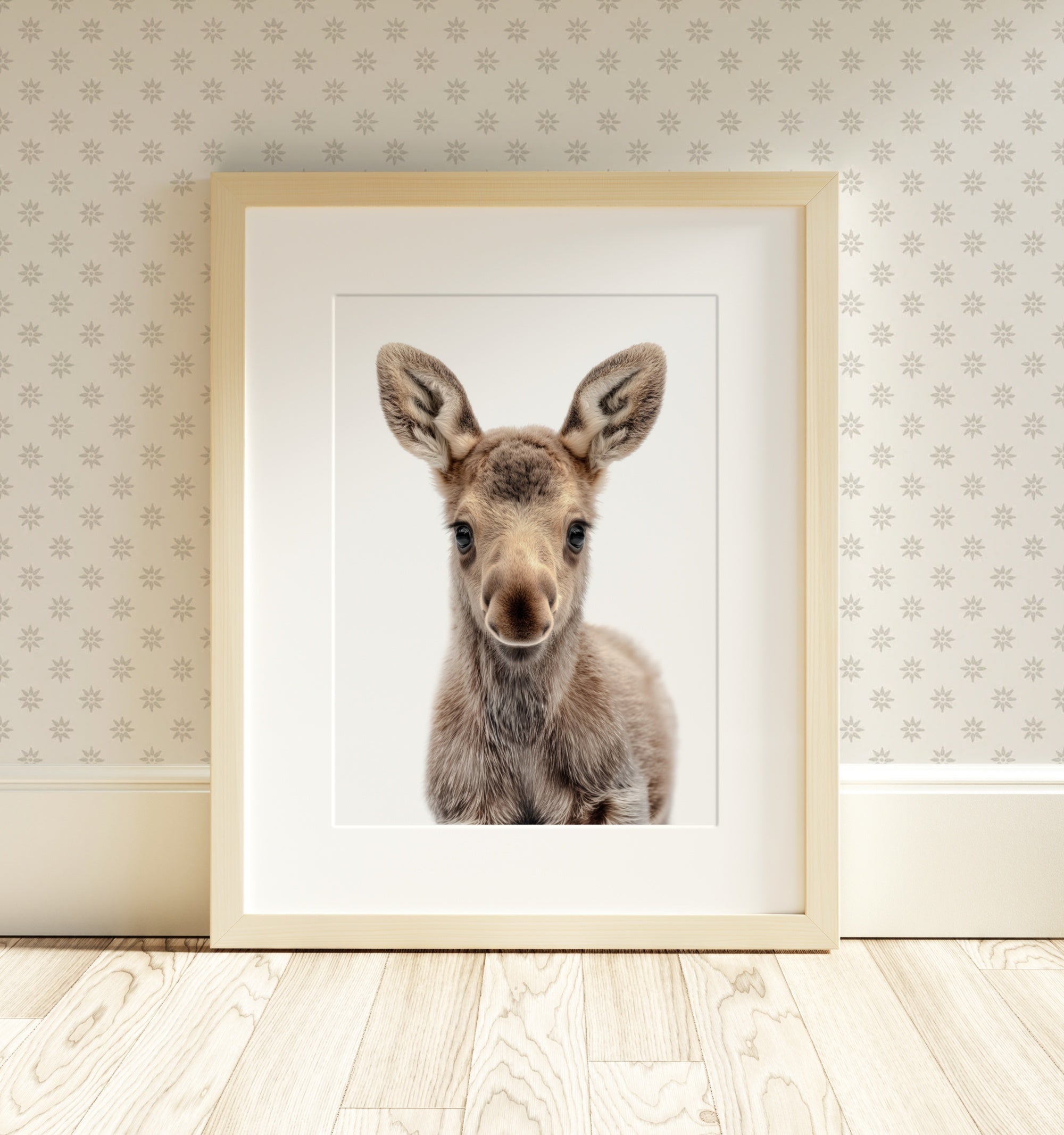 The Baby Animals 2026 Collection - Classic