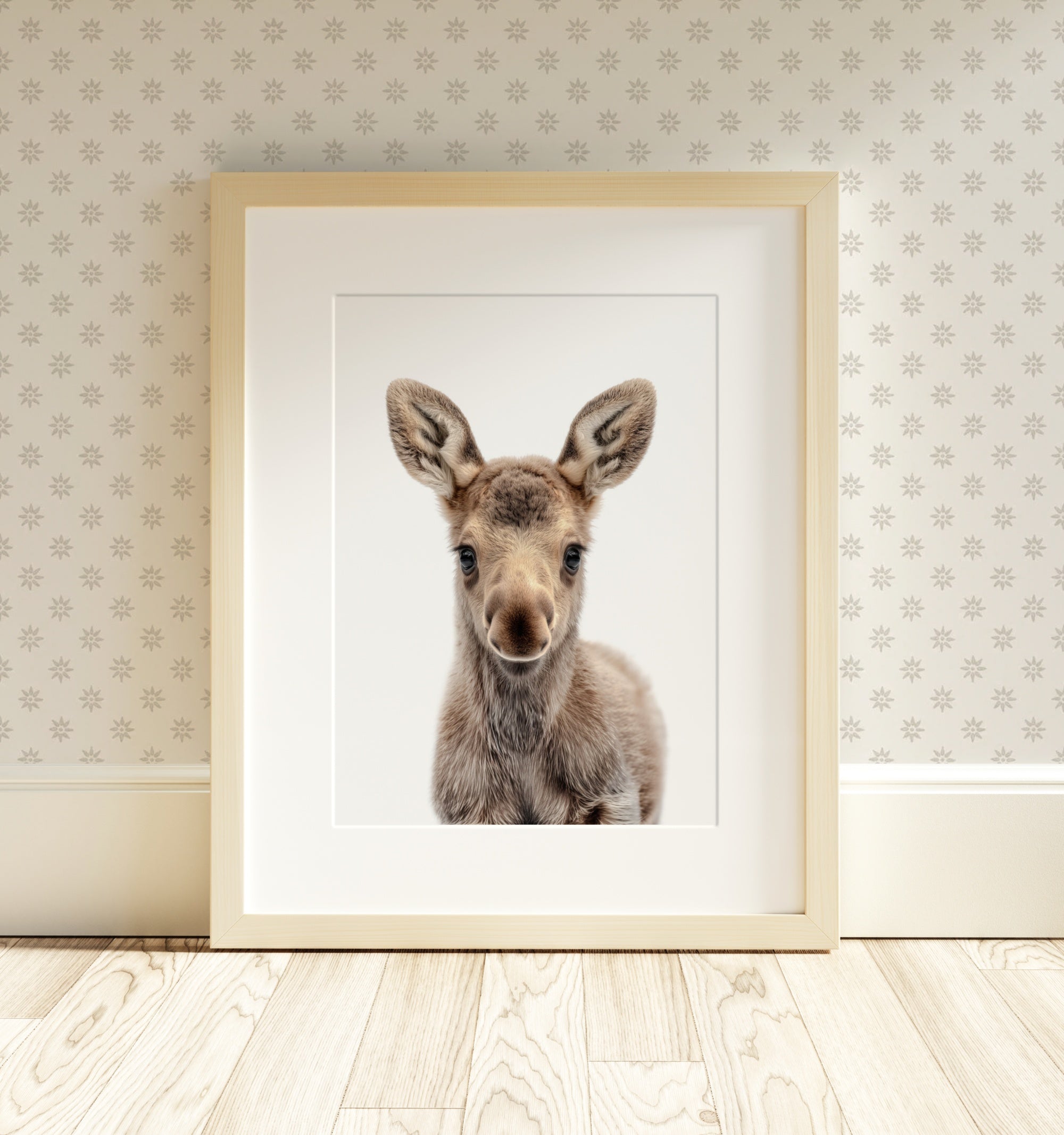 The Baby Animals 2026 Collection - Classic