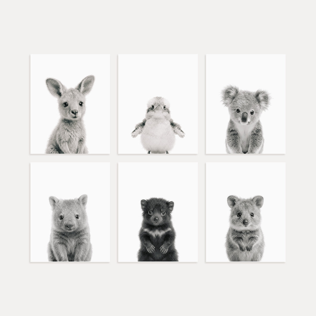 Australian Baby Animals Nursery Art Set of 6