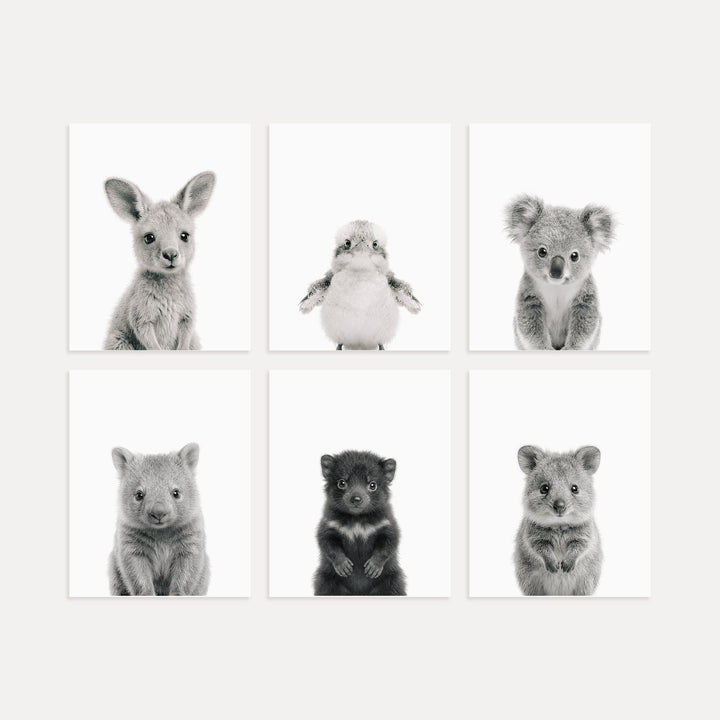 Australian Baby Animals Nursery Art Set of 6