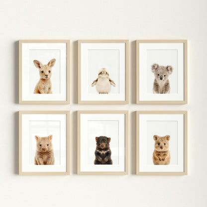 Australian Baby Animals Nursery Art Set of 6