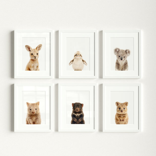 Australian Baby Animals Nursery Art Set of 6