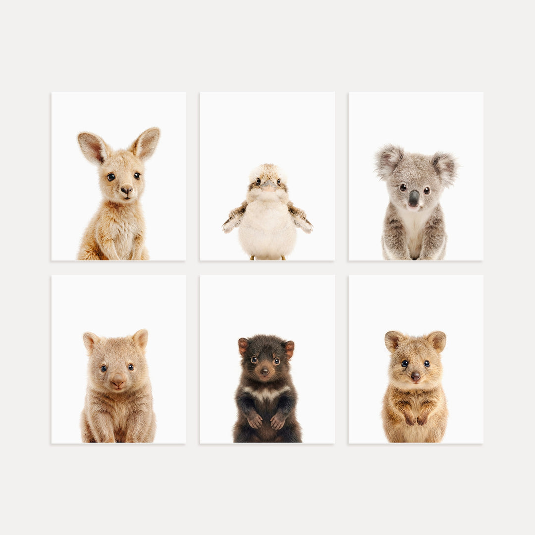 Australian Baby Animals Nursery Art Set of 6