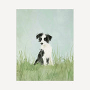 Border Collie Print
