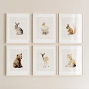 Complete Set of 6 Prints