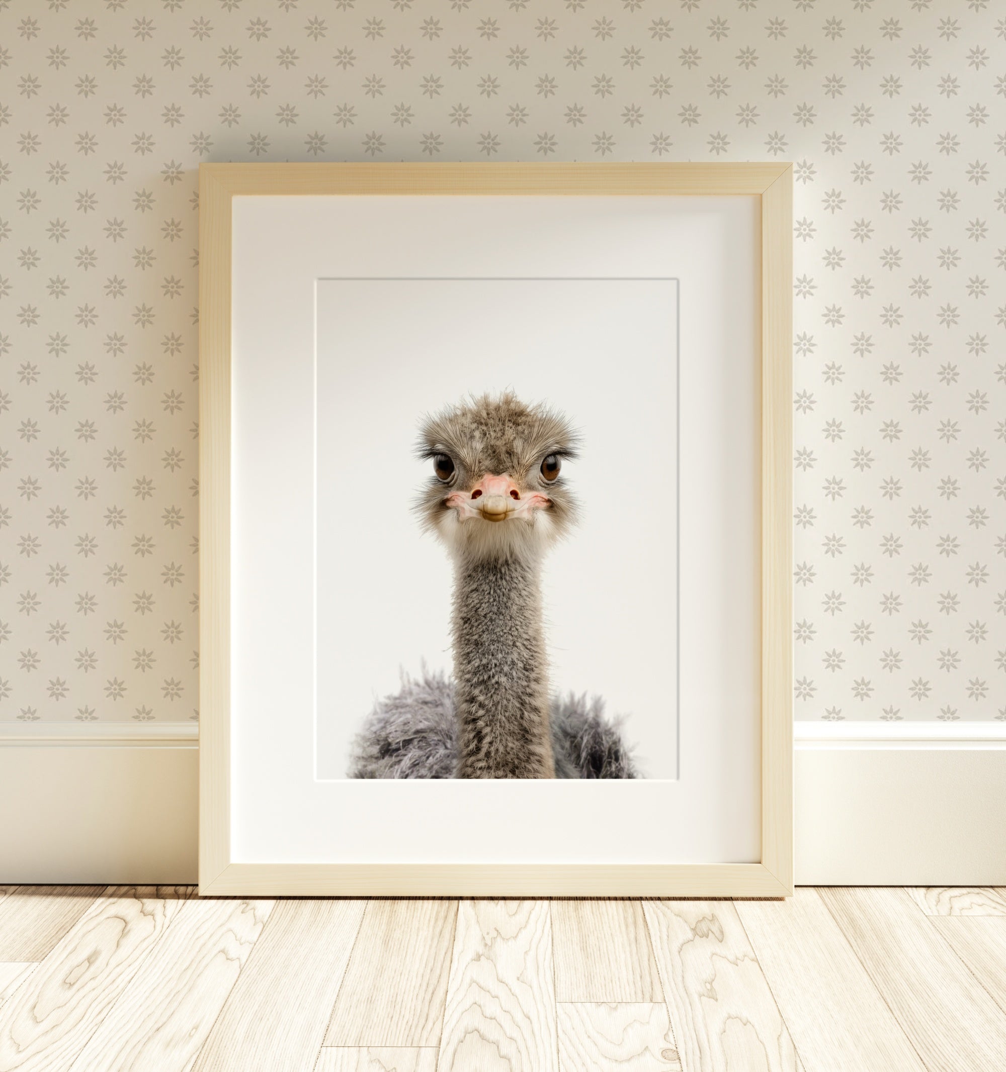 The Baby Animals 2026 Collection - Classic