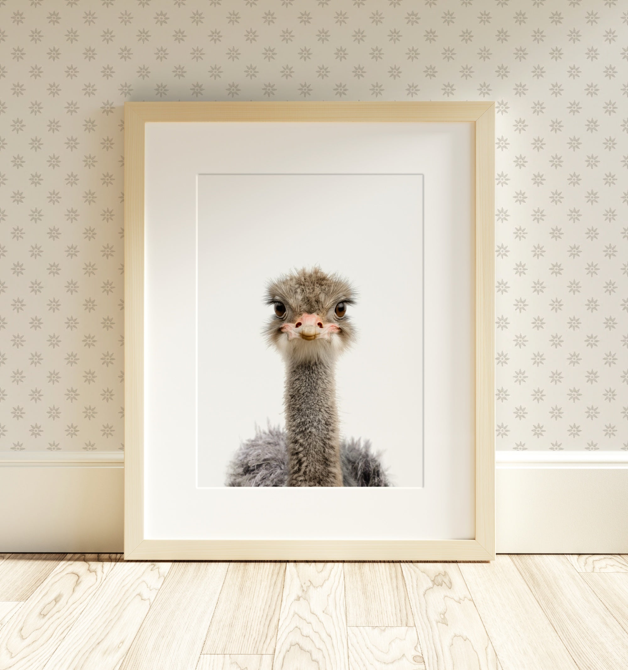 The Baby Animals 2026 Collection - Classic