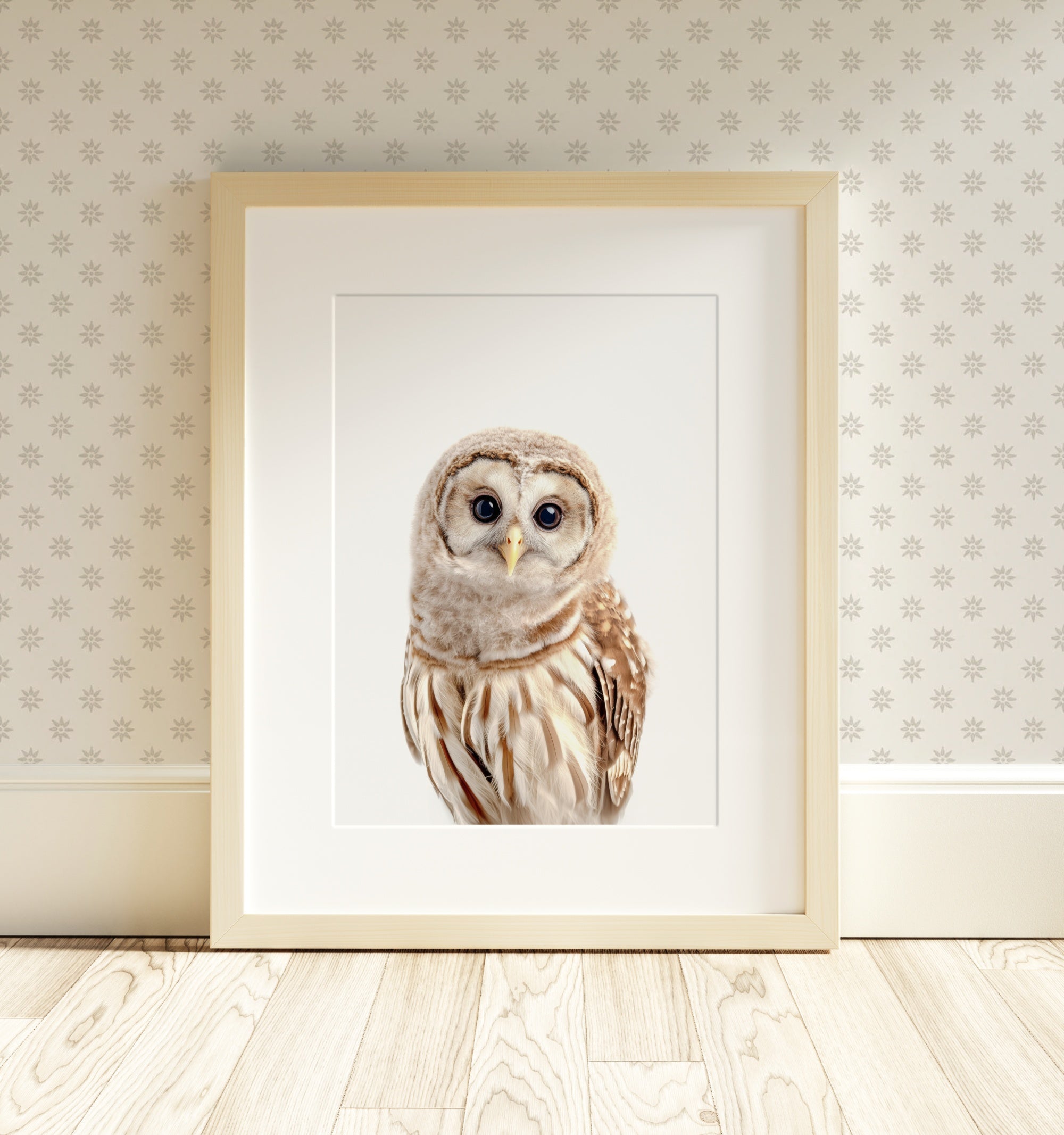 The Baby Animals 2026 Collection - Classic