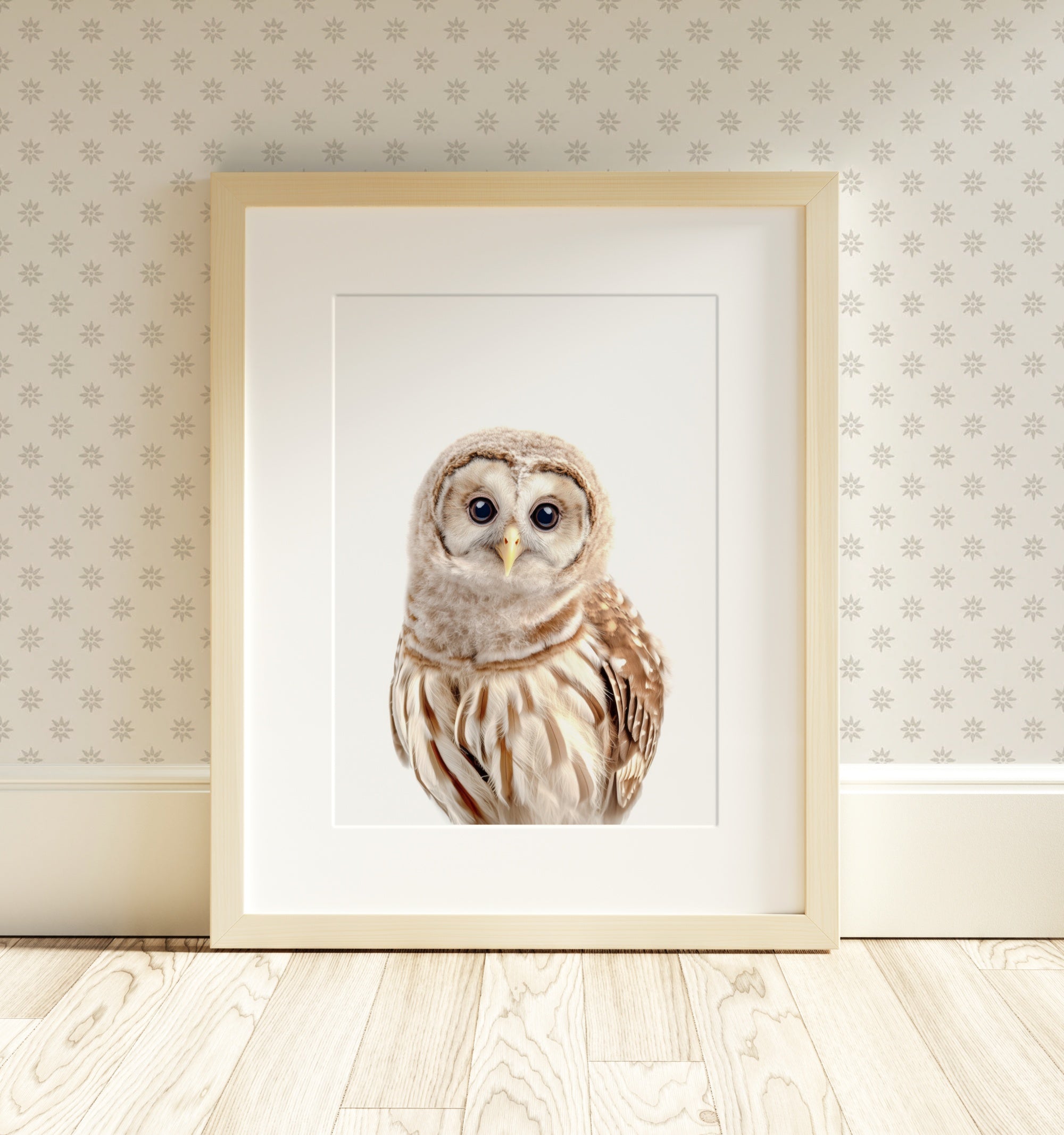 The Baby Animals 2026 Collection - Classic