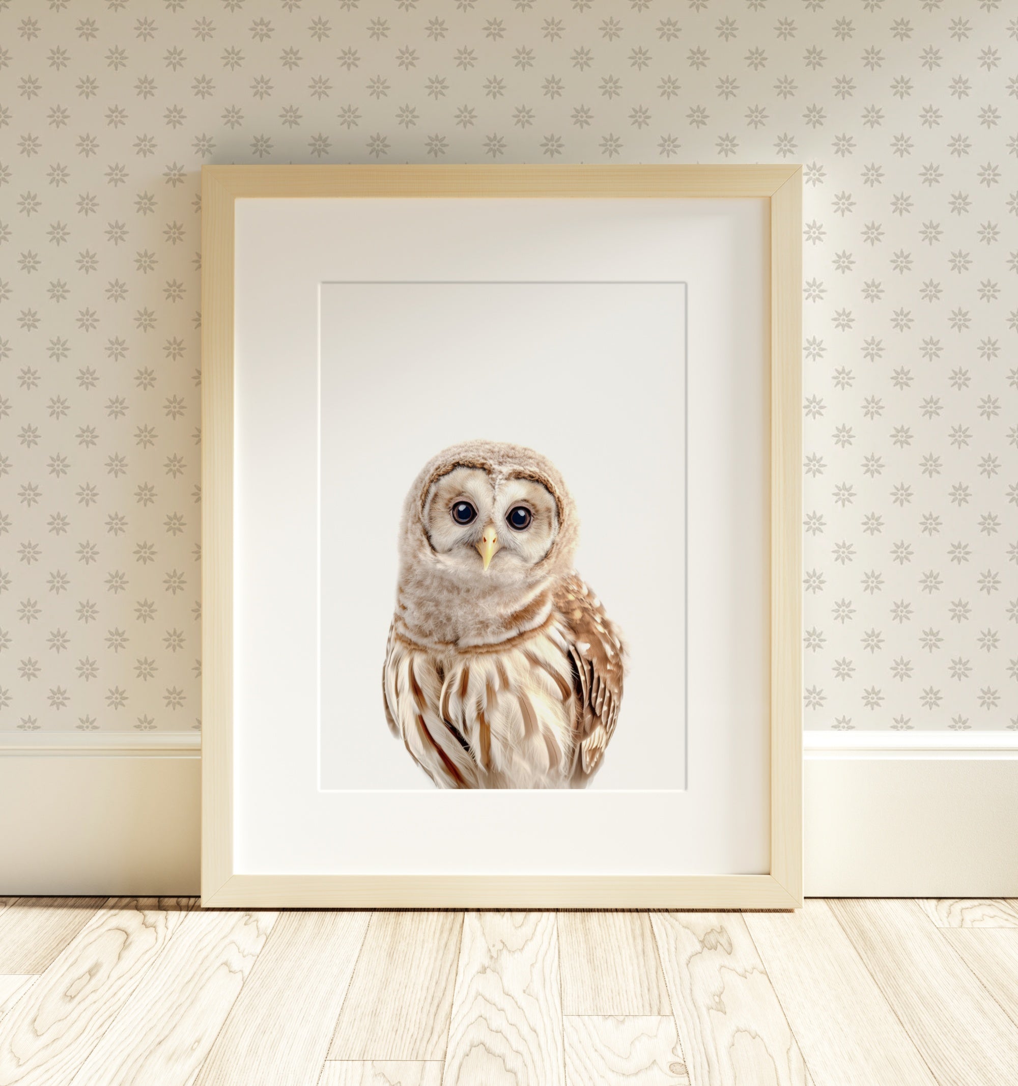 The Baby Animals 2026 Collection - Classic