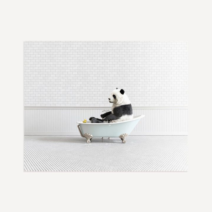 Panda in Blue Bathtub