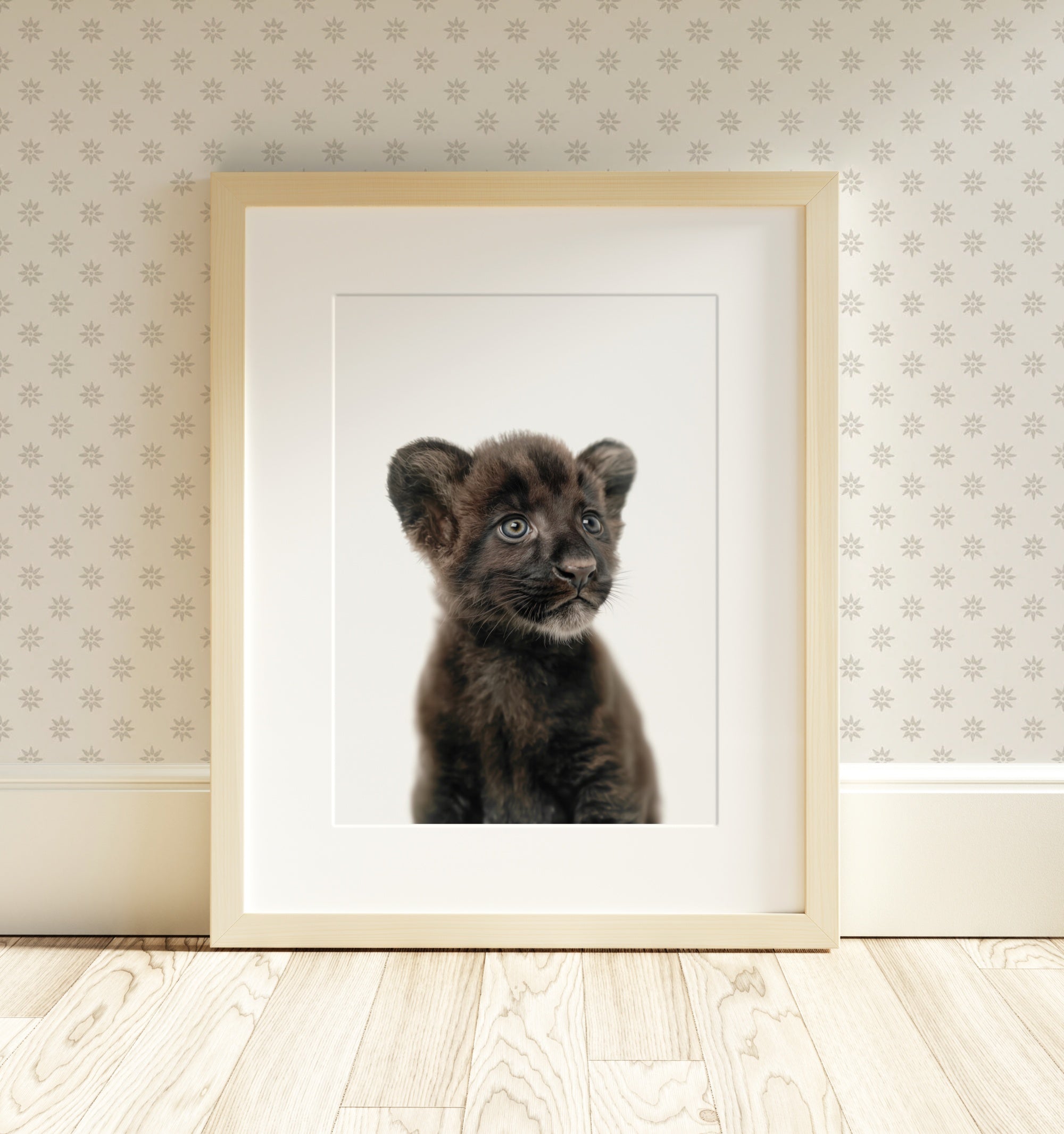 The Baby Animals 2026 Collection - Classic