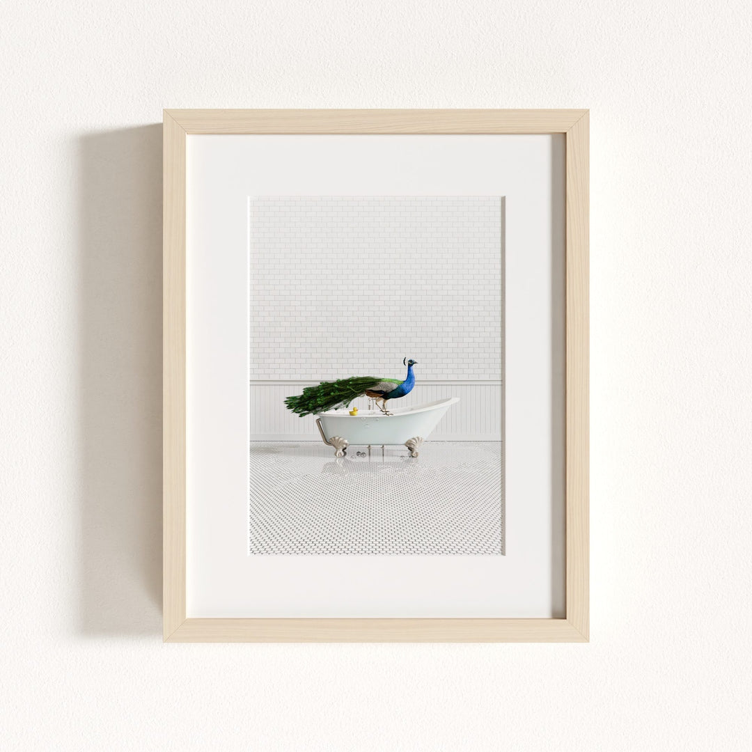 Peacock in Blue Bathtub