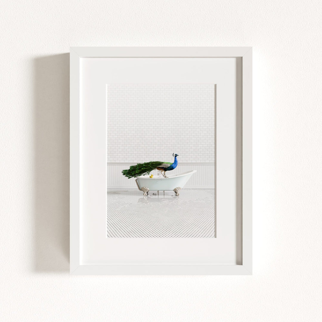 Peacock in Blue Bathtub