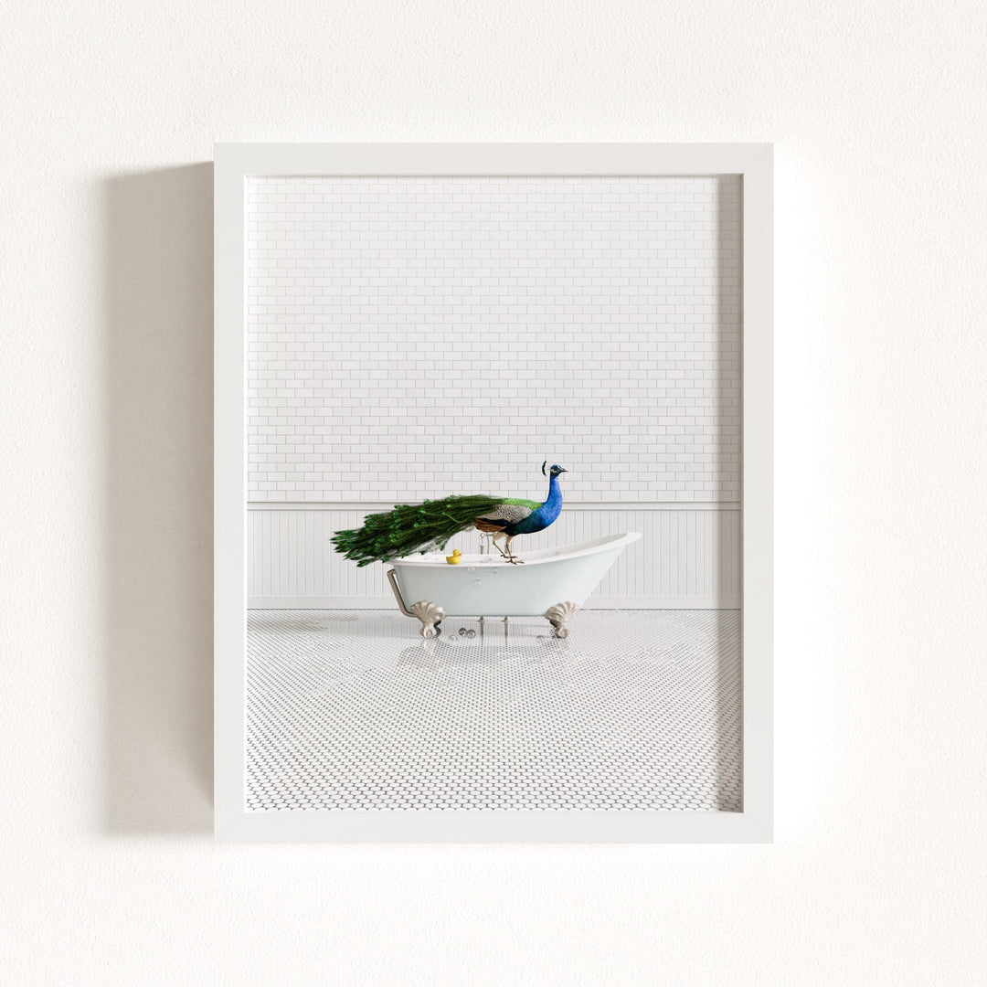 Peacock in Blue Bathtub