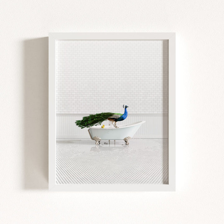 Peacock in Blue Bathtub