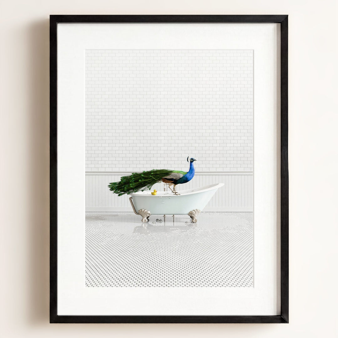 Peacock in Blue Bathtub