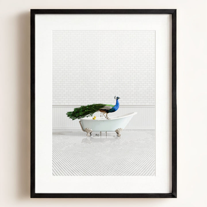 Peacock in Blue Bathtub