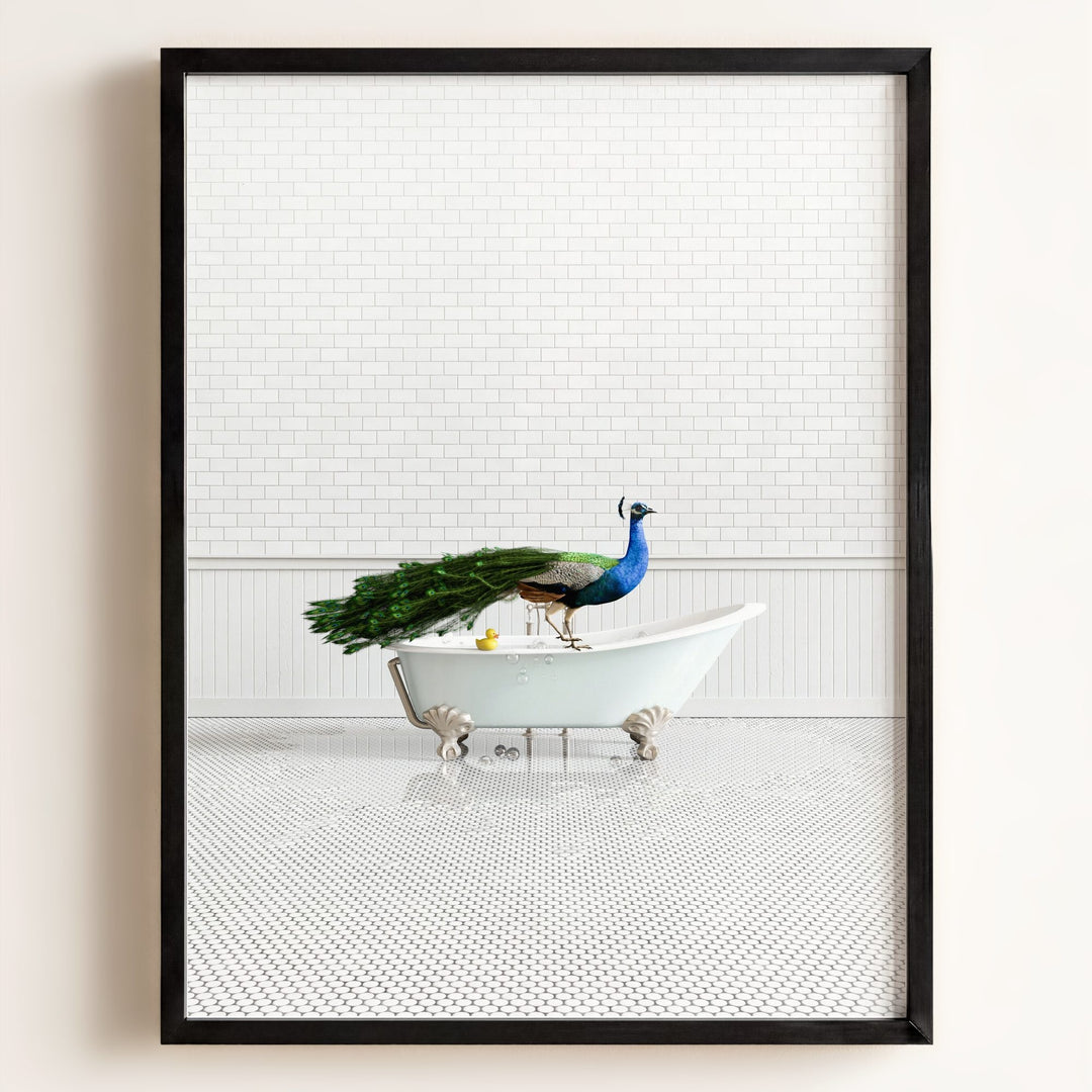 Peacock in Blue Bathtub