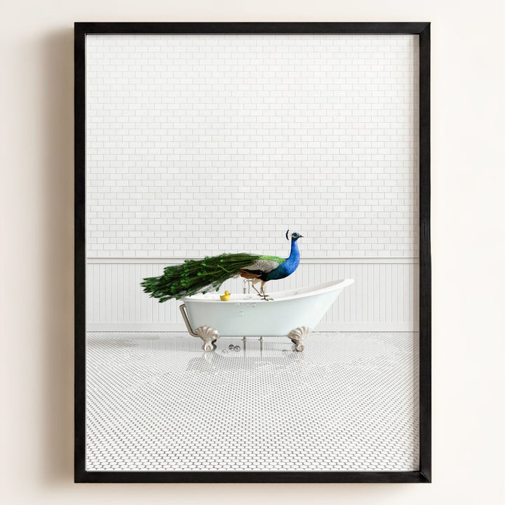 Peacock in Blue Bathtub