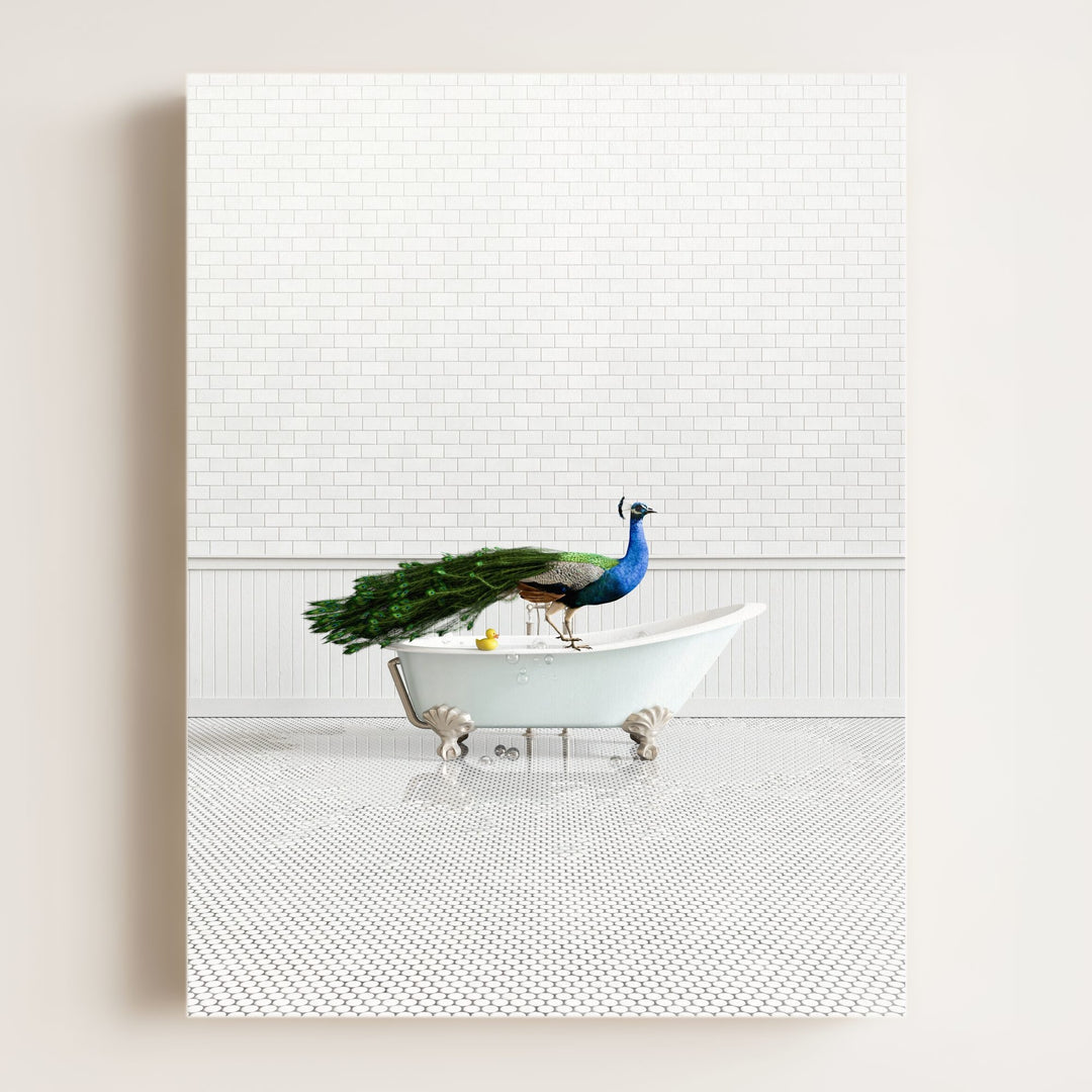 Peacock in Blue Bathtub