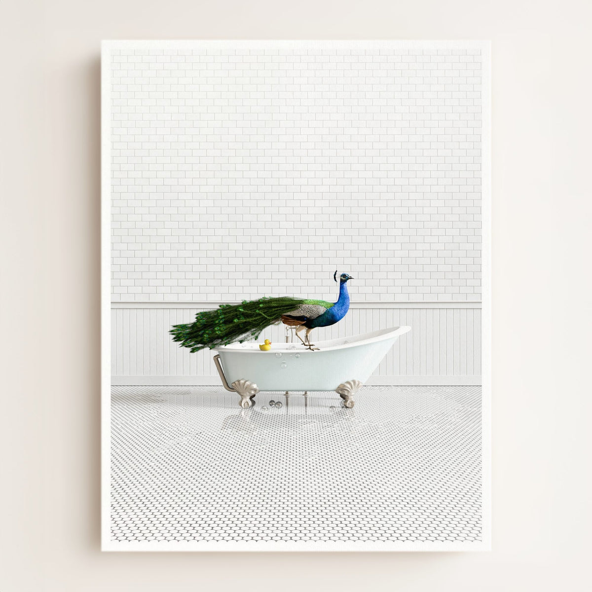 Peacock in Blue Bathtub