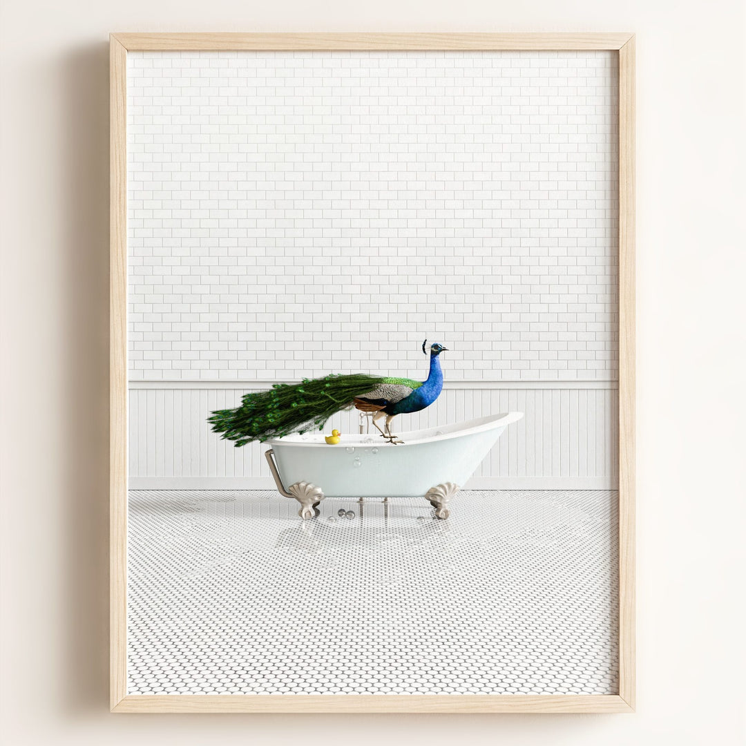 Peacock in Blue Bathtub