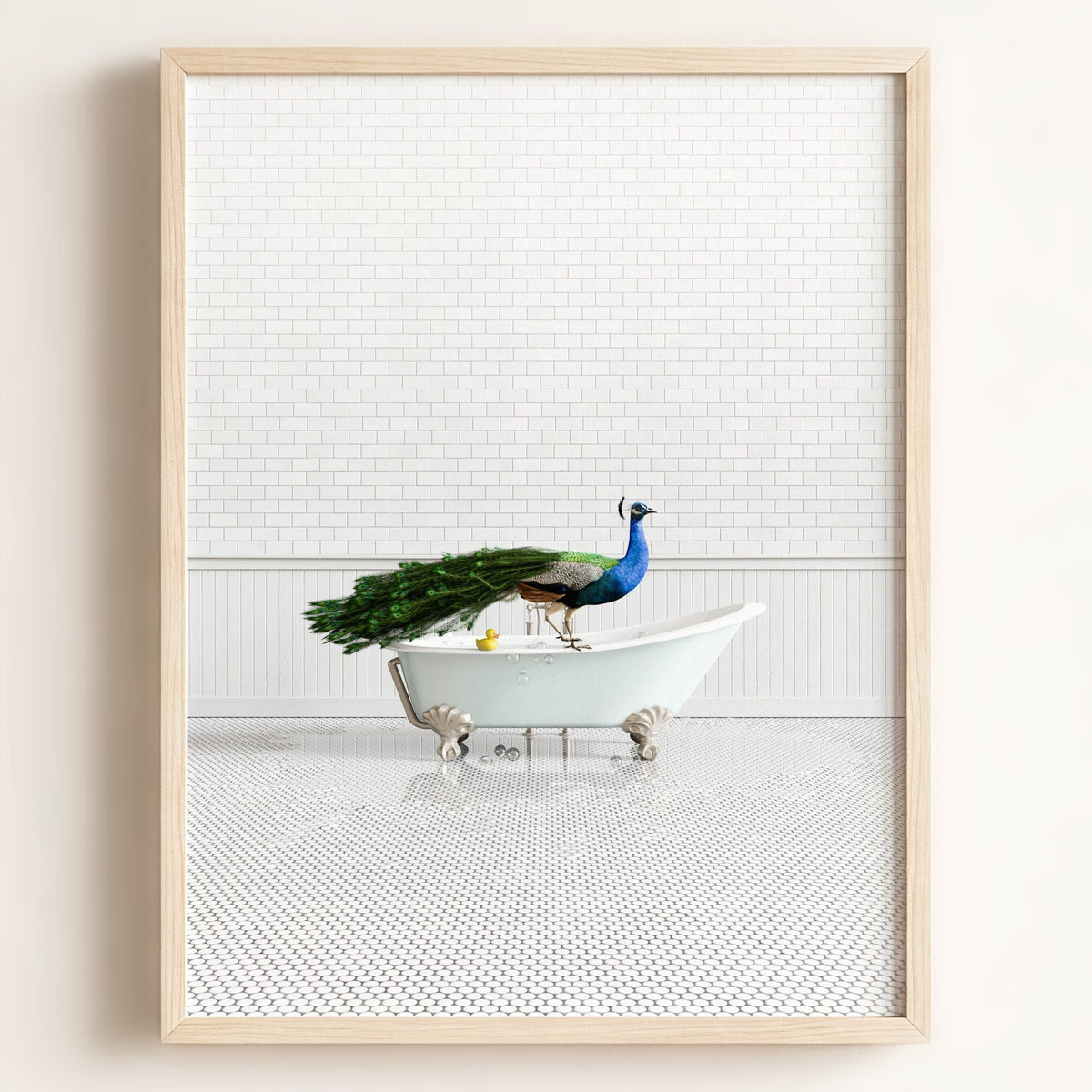 Peacock in Blue Bathtub — Framed