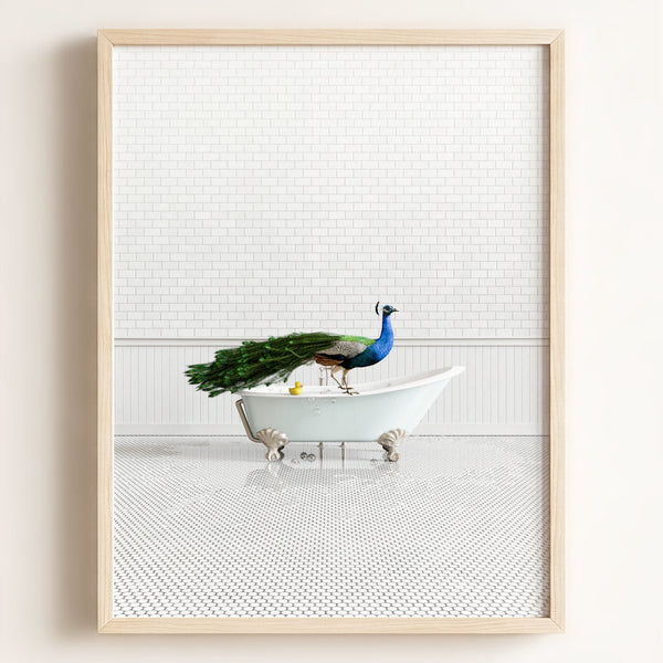 Peacock in Blue Bathtub – Framed