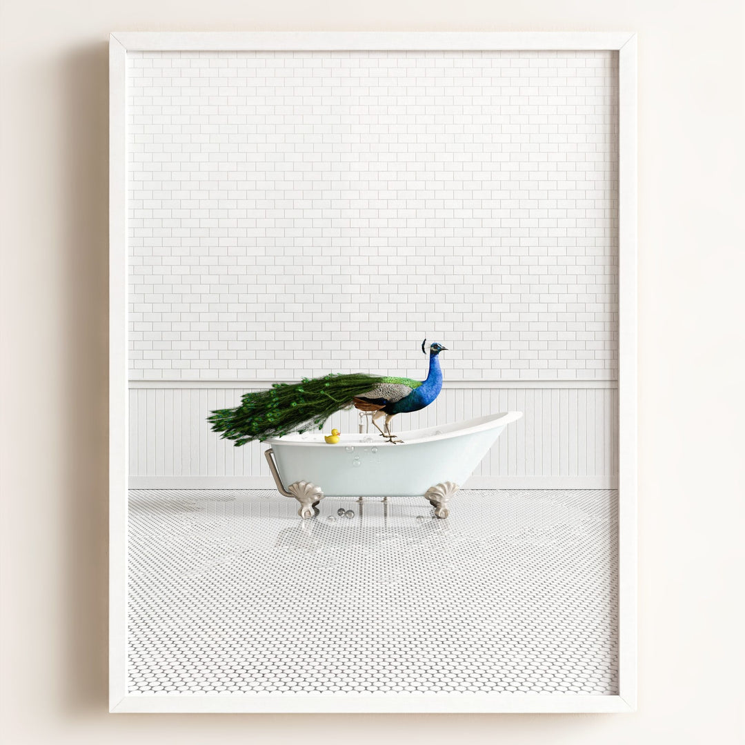 Peacock in Blue Bathtub
