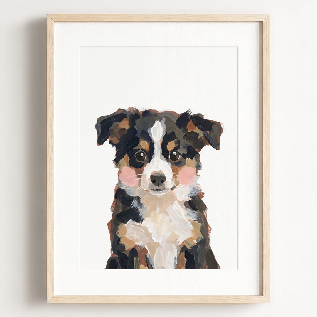 Little Painted Dog-Australian-Shepherd
