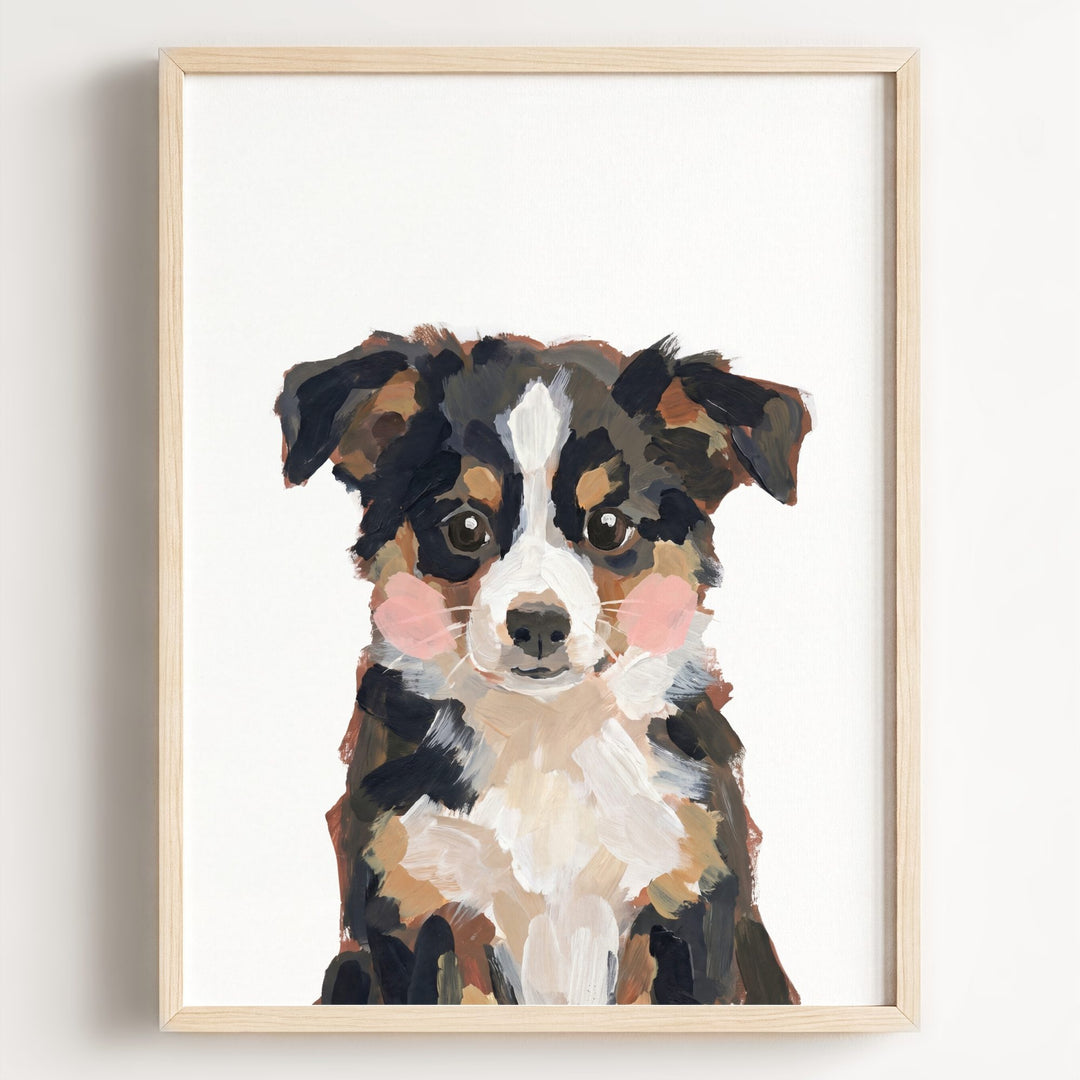 Little Painted Dog-Australian-Shepherd