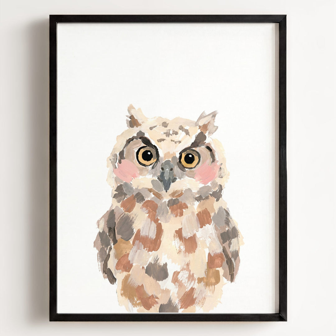 Little Painted Owl