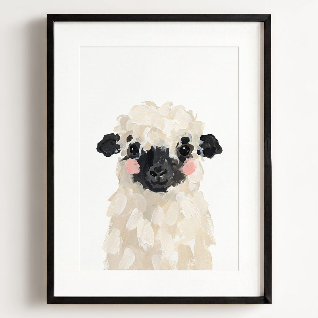 Little Painted Sheep-Blacknose
