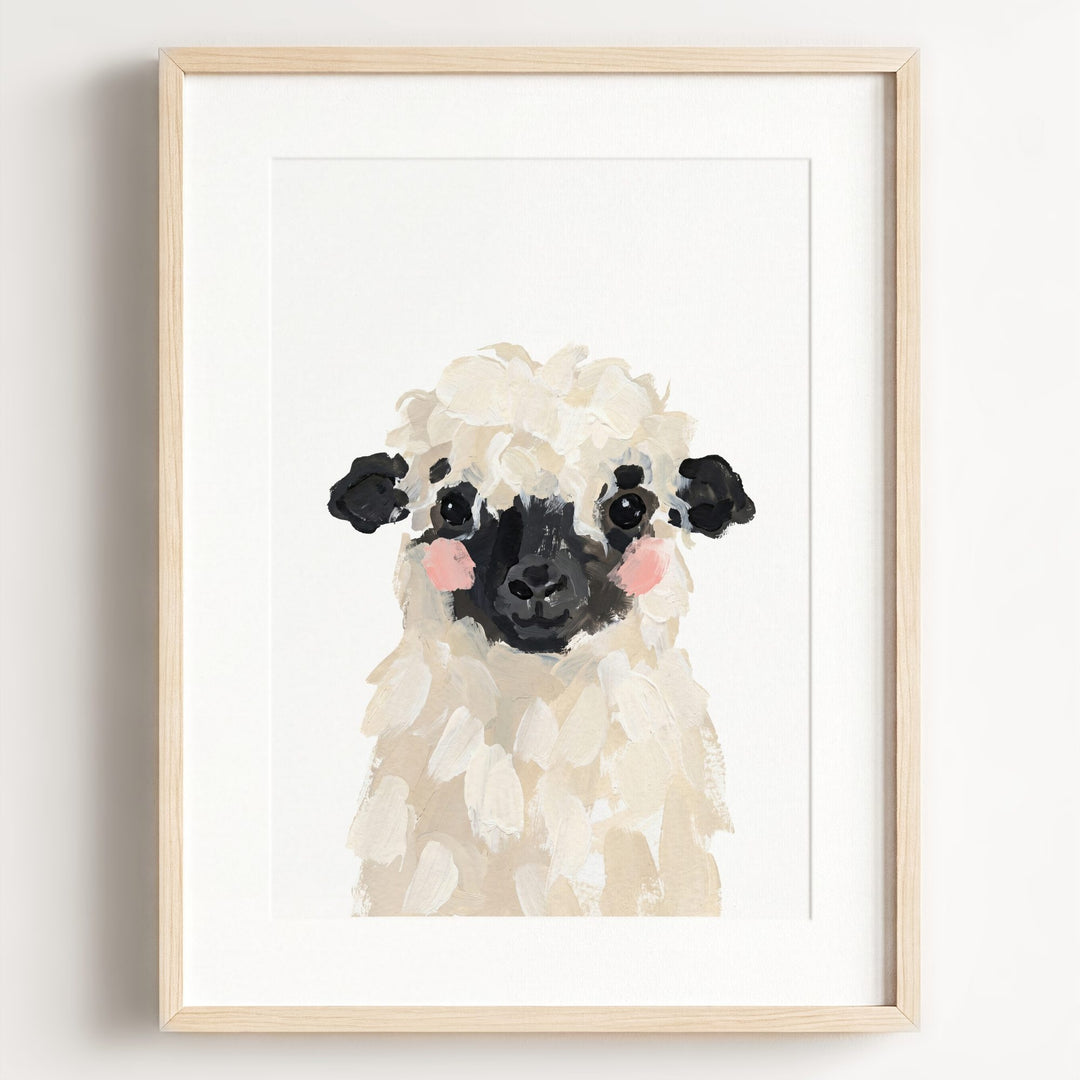 Little Painted Sheep-Blacknose