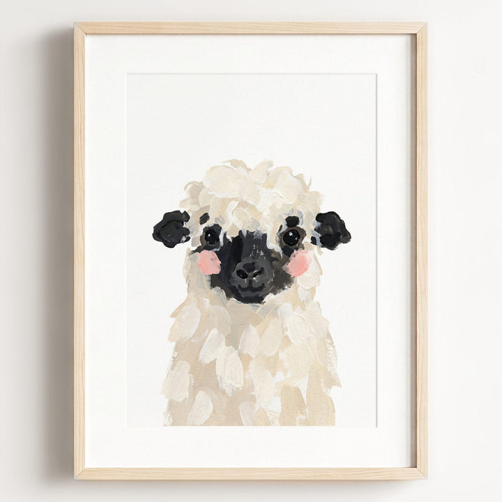 Little Painted Sheep-Blacknose