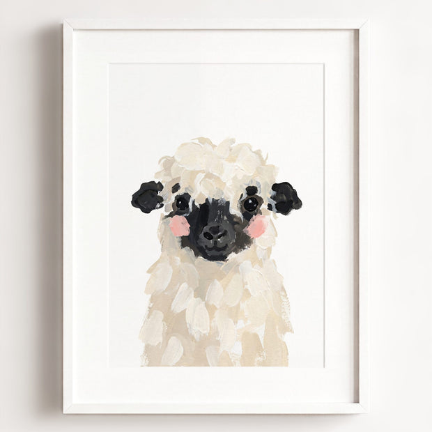 Little Painted Sheep-Blacknose