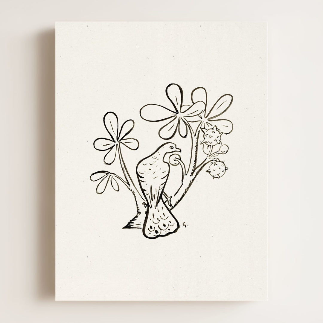 Pigeon Art Print