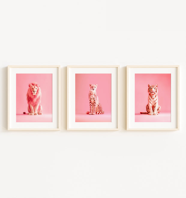 Pink Wild Cat Portraits Set of 3 Art Prints